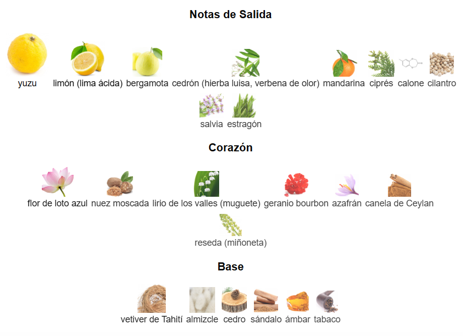 ISSEY MIYAKE DISSEY POUR HOMME